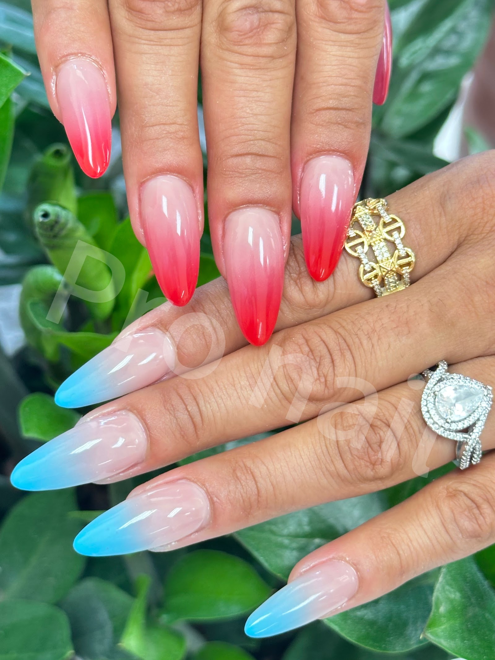 Pro Nails nail photo 2